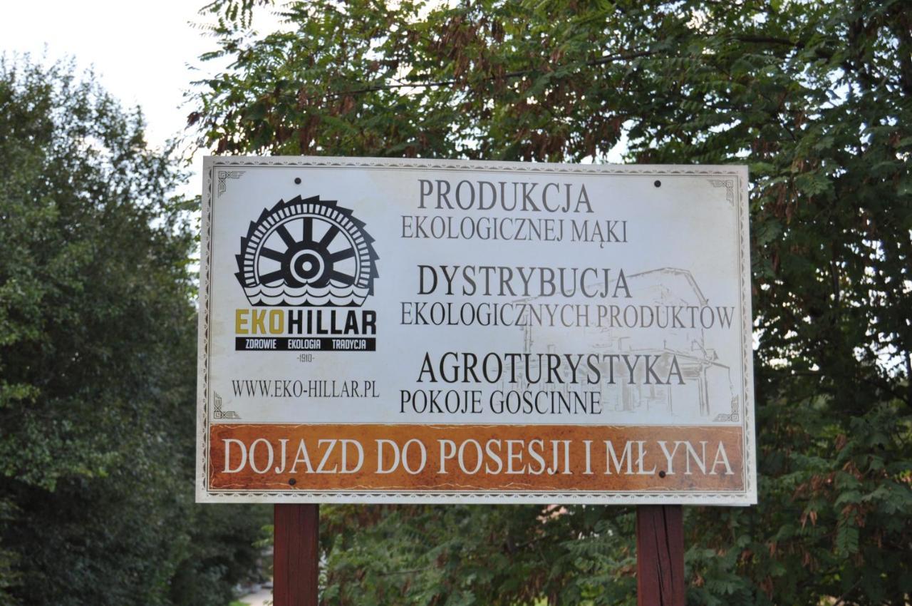 Villa Mlyn Wodny Eko Hillar Rybno  Exterior foto